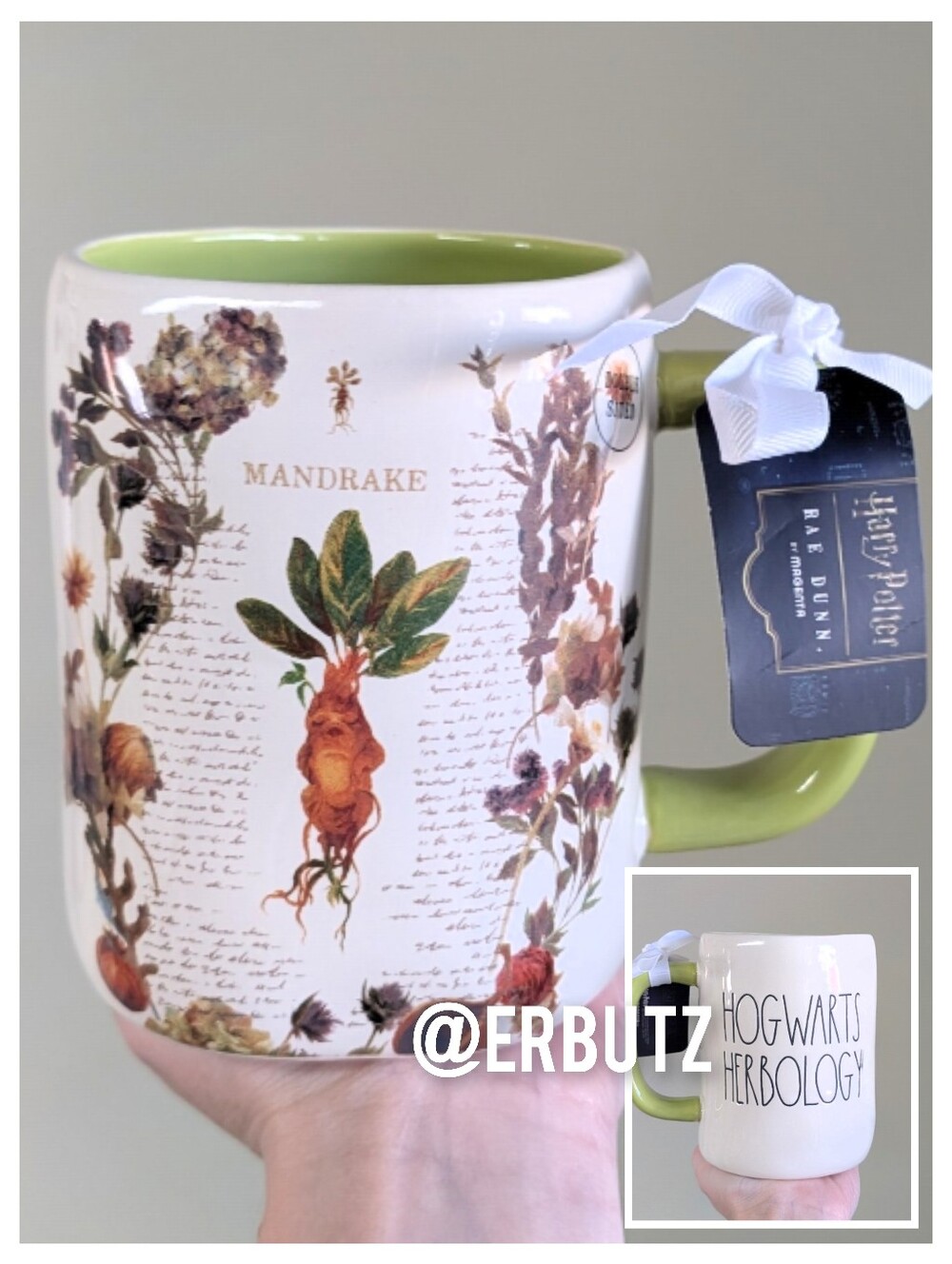 Rae Dunn x Harry Potter HOGWARTS HERBOLOGY Mug 🥕
